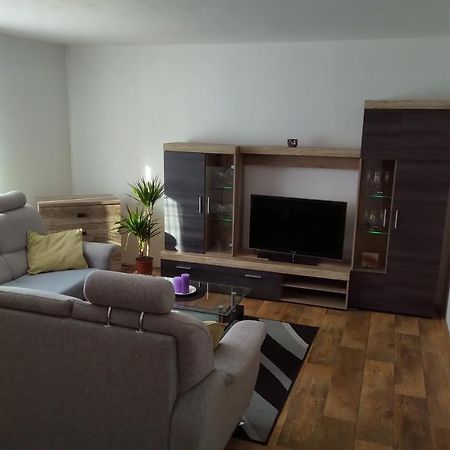 Apartman Pod Rickami Apartment Rokytnice v Orlickych Horach Exterior photo